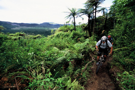 Mountain biking in Rotorua